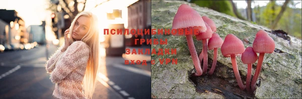 хмурый Вязники
