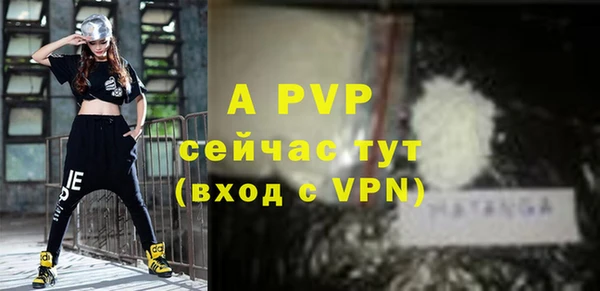 гашик Вязьма