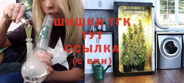 гашик Вязьма