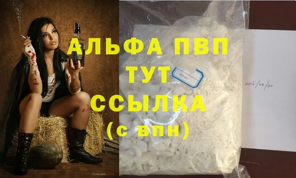 амф Щигры