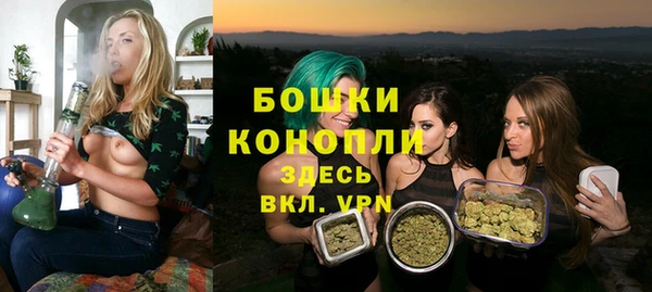 гашик Вязьма