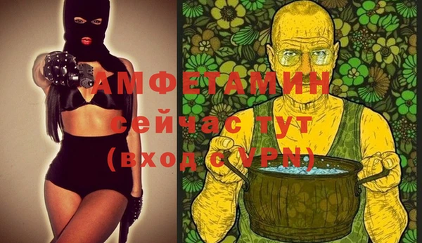 гашик Вязьма