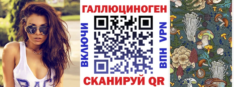 Купить  Грязовец  Псилоцибиновые грибы GOLDEN TEACHER 
