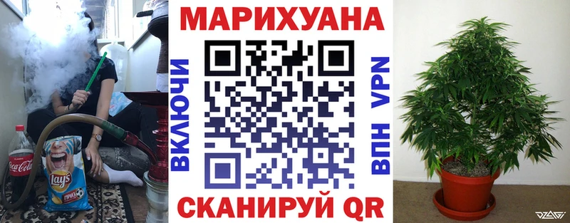 Шишки марихуана Amnesia  Купить где  Грязовец 